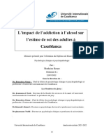 L'impacte de L'addiction À L'alcool Sur L'estime de Soi