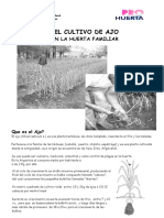 El Cultivo de Ajo en La Huerta Familiar