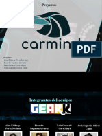Carmind 01