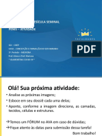 ATIVIDADE AULA REMOTA 2 Histologia Da Próstata Vesícula e Pênis