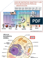 Membrana Celulares PDF Biologia