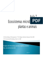 Ecossistemas Microbrianos