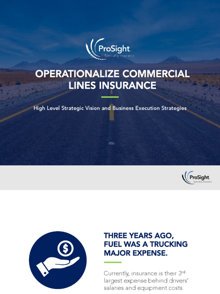 D1_9_15_Cynthia_Paisley.1524506007 PDF Insurance Risk