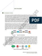 PRÁCTICA No 5 Biología 2020