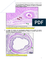 Prototipo Examen Prof Neumocardiologia 02 02 22