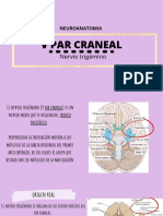 V Par Craneal