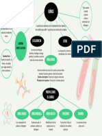 Esquema Quimica