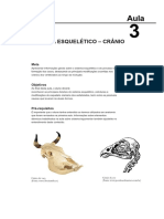 Esqueleto cefálico dos vertebrados