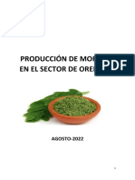 Proyecto Moringa