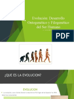 Evolución Del Ser Humano