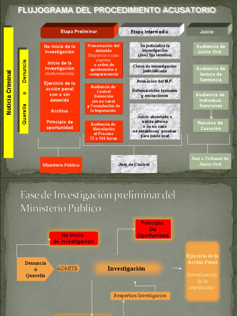 El proceso penal mexicano de manera resumida | PDF | Queja | Detención