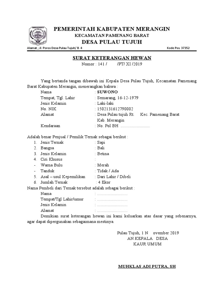 BBW porno onlayn tomosha qilish