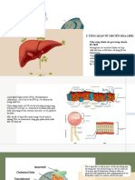 CHUYỂN HÓA LIPID