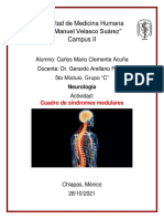 Cuadro de Síndromes Medulares. Neurología