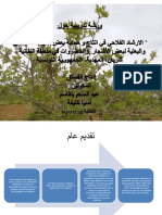 Présentation1 الفستق