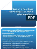 AMP Kabupaten Organisasi Koordinasi