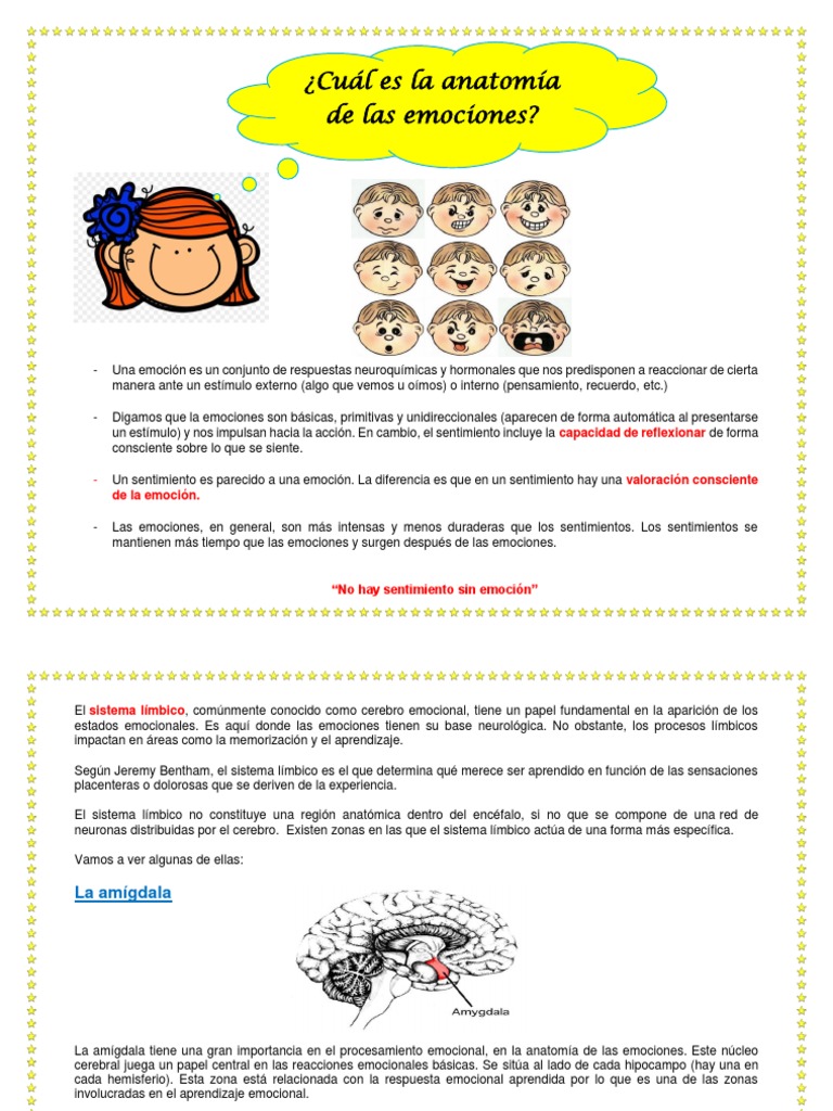 Anatomia de Las Emociones 1 | PDF | Las emociones | Cerebro