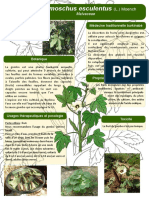 1 Poster Formation Burkina Faso Abelmoschus Esculentus L. Moench JDM