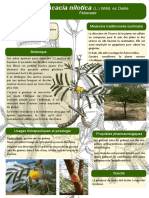 2 Poster Formation Burkina Faso Acacia Nilotica L. Willd. Ex Delile JdM(1)