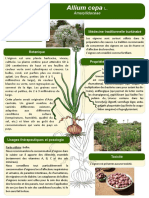 4 Poster Formation Burkina Faso Allium Cepa L JDM