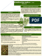 7 Poster Formation Burkina Faso Azadirachta Indica A. Juss JDM