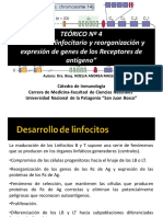 Teórico #4 Desarrollo Linfocitario. Reorganización y Expresión de Genes de Los Receptores de Antígeno 2020