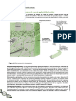 Citoesqueleto: Soporte y Estructuras