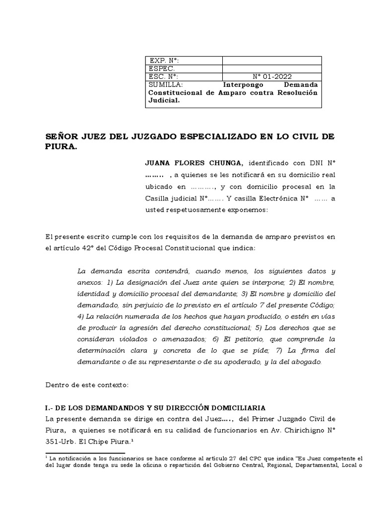 Demanda de Amparo contra Resolución Judicial | PDF | Demanda judicial ...