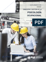 Brochure Dip Ocupacional SETIEMBRE