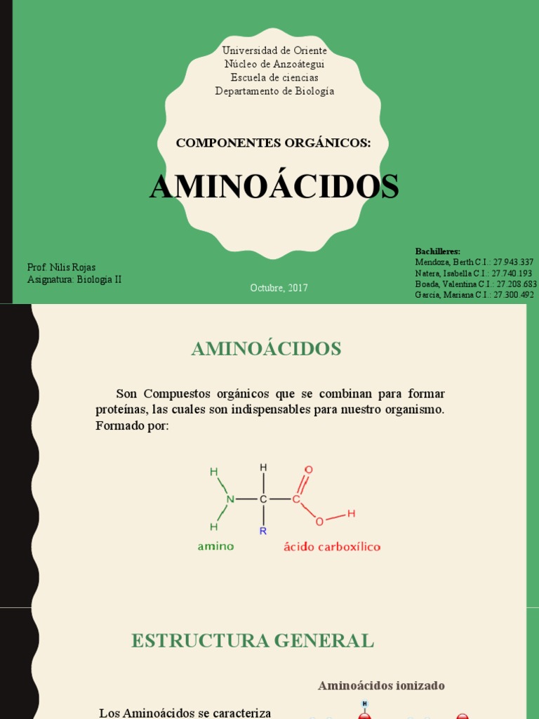 Diapositiva Amino MOD PDF Péptido Aminoácidos