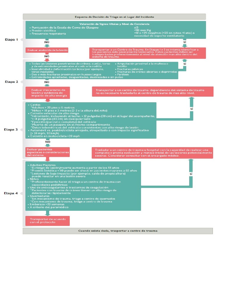 Algoritmo de TRIAGE ATLS | PDF