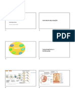 Zigoto Zigoto: Introdução A Biologia Celular e Do Desenvolvimento Contextualização