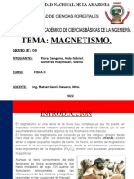 Magnetismo Exposicion - Fisica II (1)