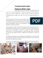 Autopsias Medicina Forense