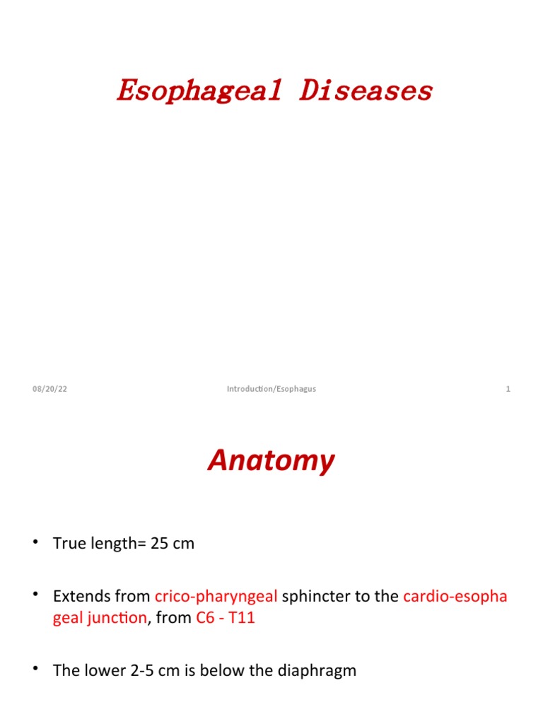1.esophageal Diseases | PDF | Esophagus | Esophageal Cancer