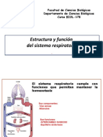 Sistema respiratorio: estructura y función