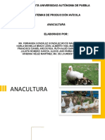 Anacultura 1