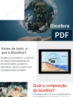Biosfera PDF Trabalho Slide