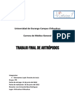 Trabajo Final de Artrópodos