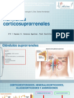 Hormonas Corticosuprarrenales