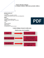 Ciclo de Vida Del Ser Humano