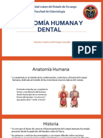 Anatomía Humana y Dental