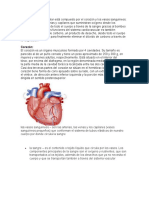 Sistema Cardiovascular