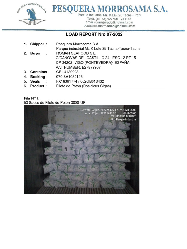 Load Report Nro 07-202 | PDF