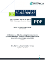 2.3 Síntesis La Didáctica y Los Principios Rectores