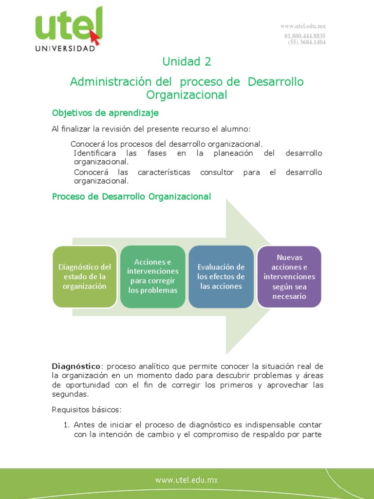 Proceso de Desarrollo Organizacional | PDF | Planificación | Evaluación