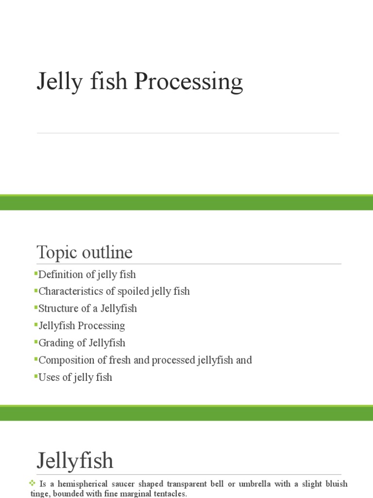Jellyfish Processing and Preservation Methods | PDF | Chemistry