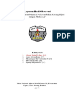 Laporan Hasil Observasi2