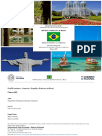 Perfil Economico y Comercial de Brasil 2020