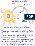 02 Central Nervous Systemppt396